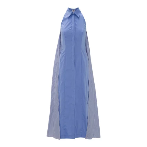 Fitted and Pleated Dress