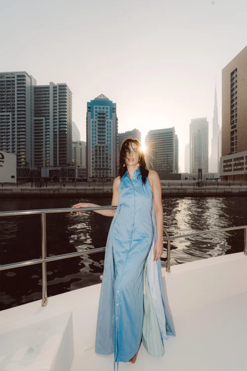 Fitted and Pleated Dress - Image 4